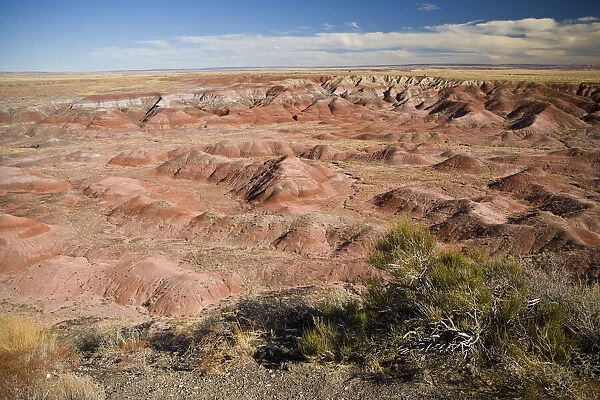 USA, Arizona. View of the badlands and petrified logs of Petrified Forest National Park