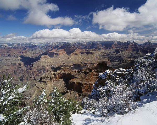 USA, Arizona, View of Grand Canyon National Park with snow covered trees