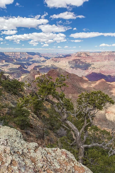 USA, Arizona. View from Navajo Point on the south rim of Grand Canyon National Park