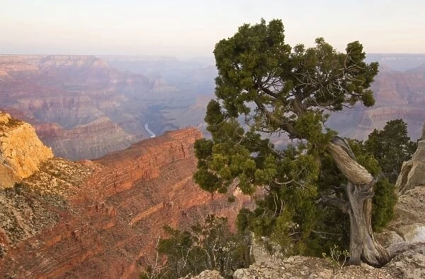 USA, AZ, Grand Canyon NP, Grand Canyon at Dawn from Hopi Point