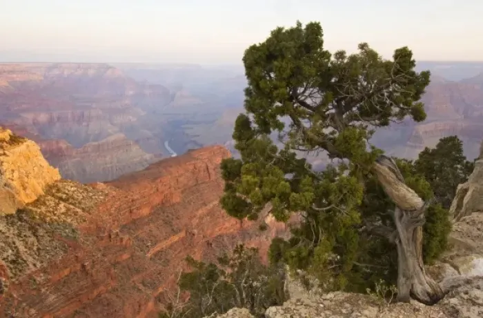 Framed Print : USA, AZ, Grand Canyon NP, Grand Canyon at Dawn from Hopi Point