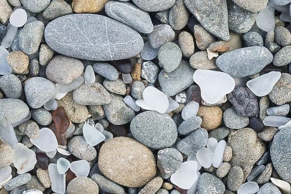 USA, CA, Ft. Bragg, Closeup of Glass Beach Pebbles
