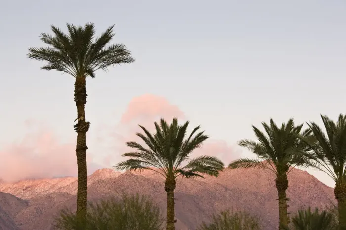 Framed Print : USA, California, Anza-Borrego Desert State Park. Palms and mountain sunrise