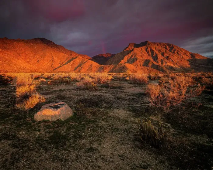 Framed Print : USA, California, Anza-Borrego Desert State Park. Desert landscape and mountains at sunrise
