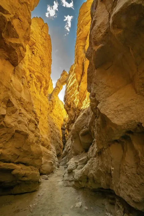 Framed Print : USA, California, Anza Borrego Desert State Park. Slot canyon trail. ©Cathy & Gordon Illg / Jaynes Gallery / DanitaDelimont.com Framed Print : USA, California, Anza Borrego Desert State Park. Slot canyon trail. ©Cathy & Gordon Illg / Jaynes Gallery / DanitaDelimont.com