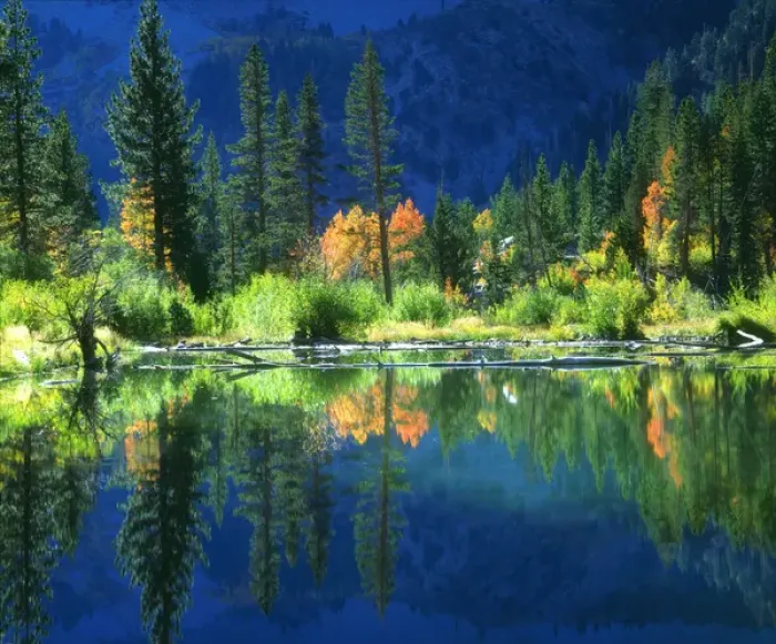 Framed Print : USA, California, A beaver pond in the Sierra Nevada Mountains, CA Framed Print : USA, California, A beaver pond in the Sierra Nevada Mountains, CA