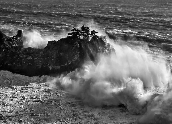 USA, California, Big Sur, Big wave crashes against rocks and trees at Julia Pfeiffer