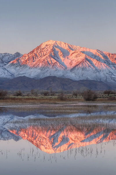 USA, California, Bishop. Sierra Crest reflects in Farmers Pond at sunrise. Credit as