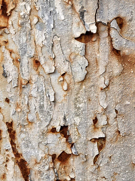 USA, California, Campo, Abstract of peeling paint and rust