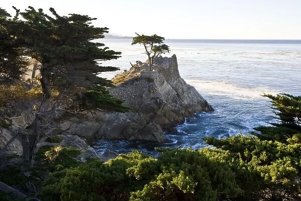 USA. California. Carmel-by-the-Sea. Sunrise lights the famous Lone Cypress as viewed
