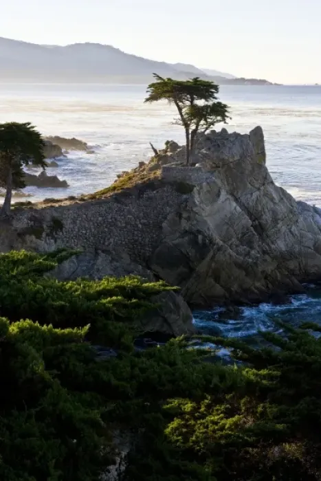 Framed Print : USA. California. Carmel-by-the-Sea. Sunrise lights the famous Lone Cypress as viewed Framed Print : USA. California. Carmel-by-the-Sea. Sunrise lights the famous Lone Cypress as viewed