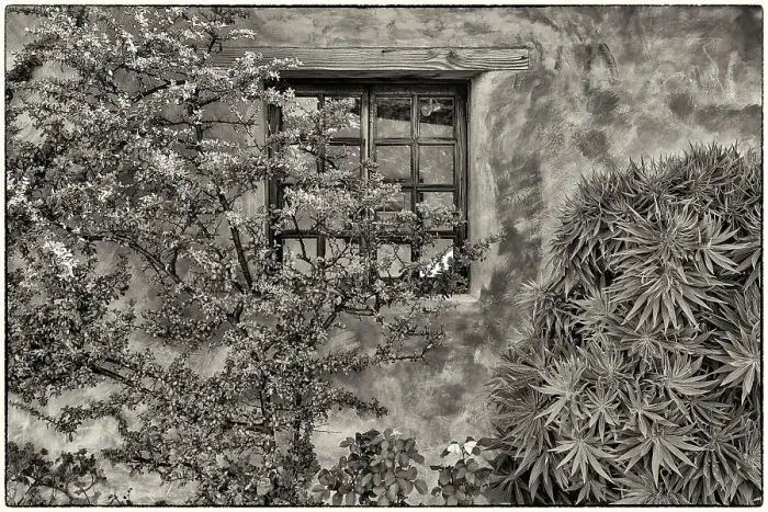Framed Print : USA, California, Carmel. Inside the grounds at the Carmel Mission Basilica Museum Framed Print : USA, California, Carmel. Inside the grounds at the Carmel Mission Basilica Museum