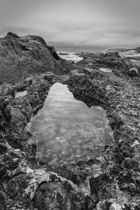 Framed Print : USA, California, Carmel, Point Lobos