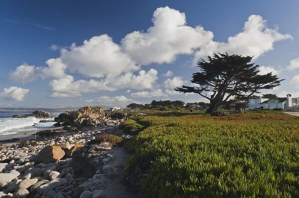 USA, California, Central Coast, Monterey Peninsula, Pacific Grove coastline