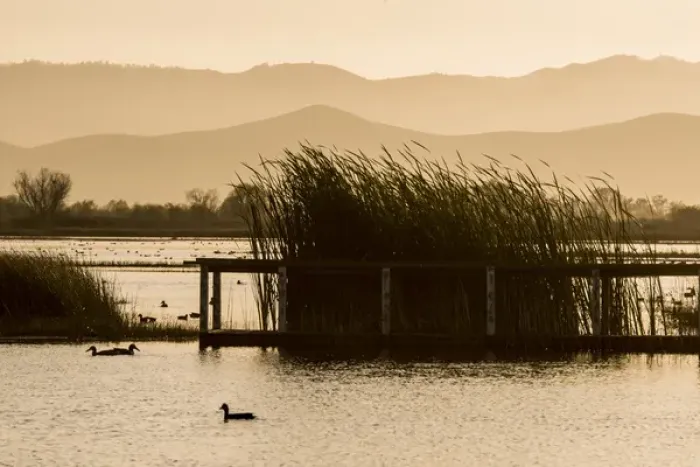 Framed Print : USA: California, Central Valley, San Joaquin River Valley, San Luis National Wildlife Refuge