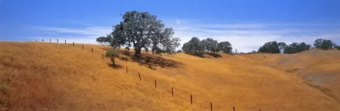 Framed Print : USA, California, Coast Range. Live oaks adorn the Coast Range in California Framed Print : USA, California, Coast Range. Live oaks adorn the Coast Range in California