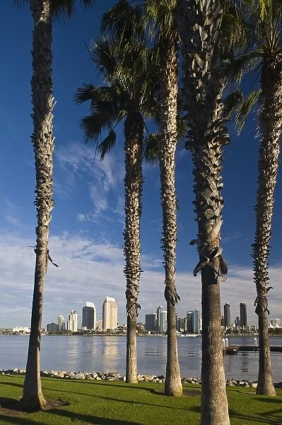USA, California, Coronado. San Diego city view from Coronado, morning