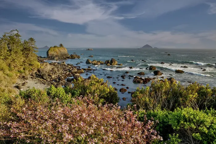 Framed Print : USA, California, Crescent City. Seastack along coastline