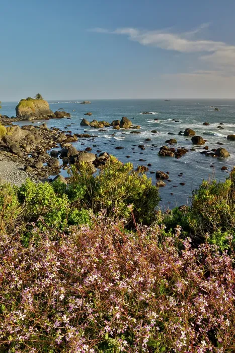 Framed Print : USA, California, Crescent City. Seastack along coastline Framed Print : USA, California, Crescent City. Seastack along coastline