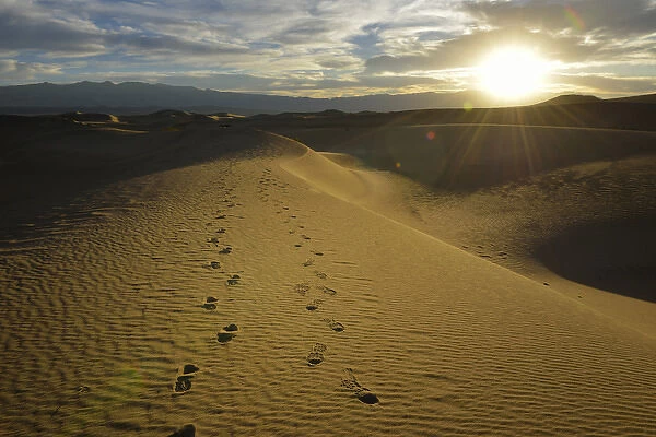 USA, California, Death Valley, Footprints on the dunes at the Mesquite Flat Sand Dunes