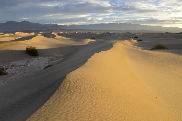 USA, California, Death Valley, Mesquite Flat Sand Dunes at sunrise