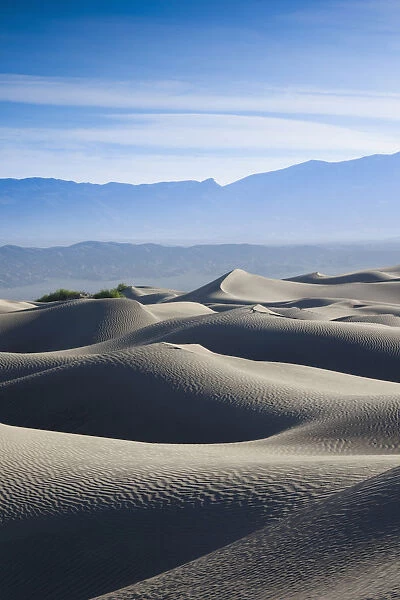 USA, California, Death Valley National Park, Mesquite Flat Sand Dunes, dawn