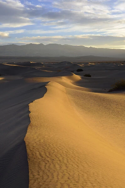 USA, California, Death Valley National Park, Mesquite Flat Sand Dunes at sunrise