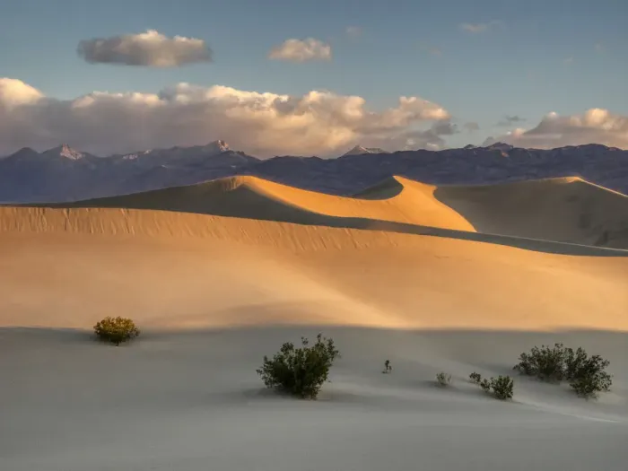 Framed Print : USA, California. Death Valley National Park, Mesquite Flats Sand Dunes, blowing sand Framed Print : USA, California. Death Valley National Park, Mesquite Flats Sand Dunes, blowing sand