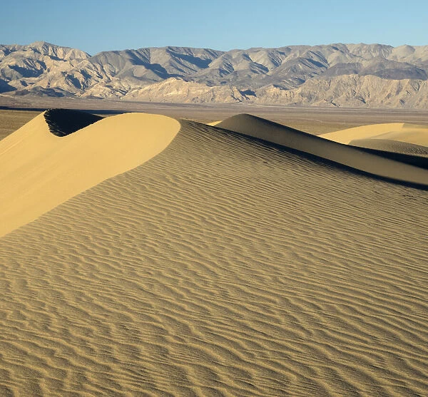 USA, California. Death Valley National Park, Mesquite Flats Sand Dunes