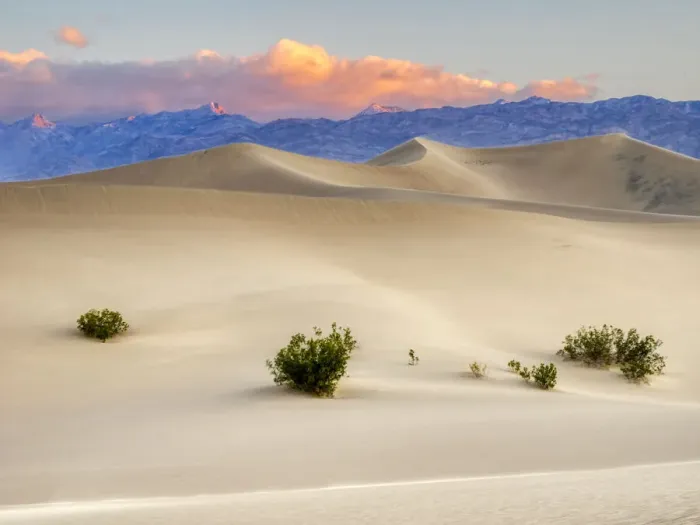 Framed Print : USA, California. Death Valley National Park, Mesquite Flat Sand Dunes Framed Print : USA, California. Death Valley National Park, Mesquite Flat Sand Dunes