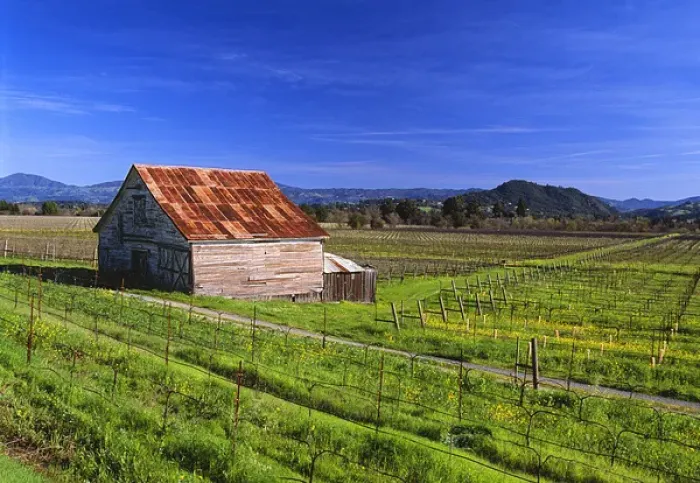 Framed Print : USA, California, Dry Creek Valley, wine country, an old barn in a vineyard
