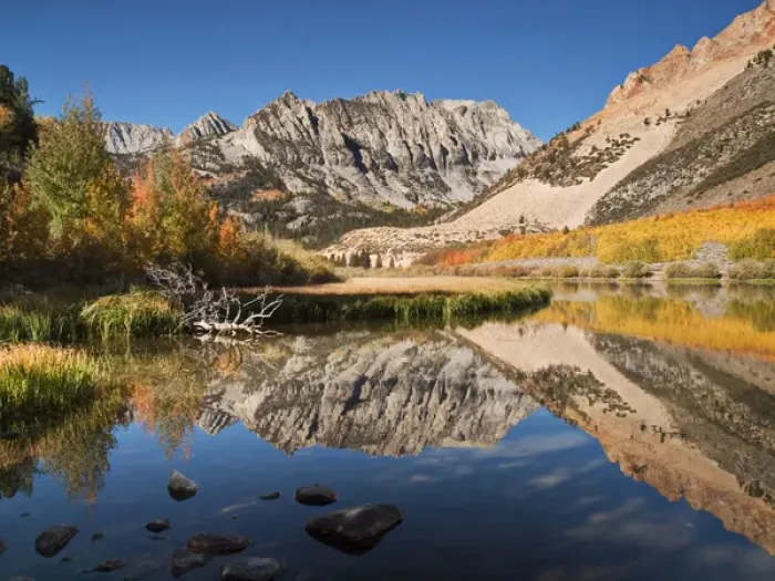 Framed Print : USA, California, Eastern Sierra, Fall color reflected in North Lake