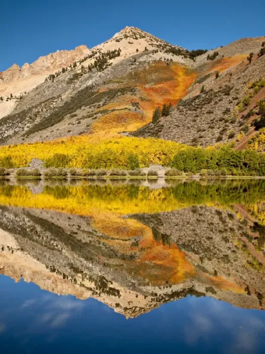 Framed Print : USA, California, Eastern Sierra, Fall color reflected in North Lake Framed Print : USA, California, Eastern Sierra, Fall color reflected in North Lake