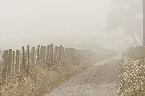 Usa, California. Fog blankets this driveway at Point Reyes