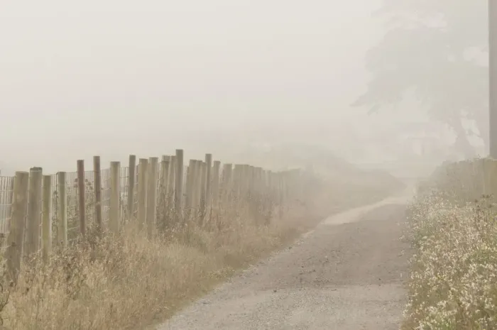 Framed Print : Usa, California. Fog blankets this driveway at Point Reyes