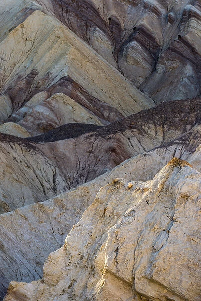 USA, California. Golden Canyon, Death Valley National Park