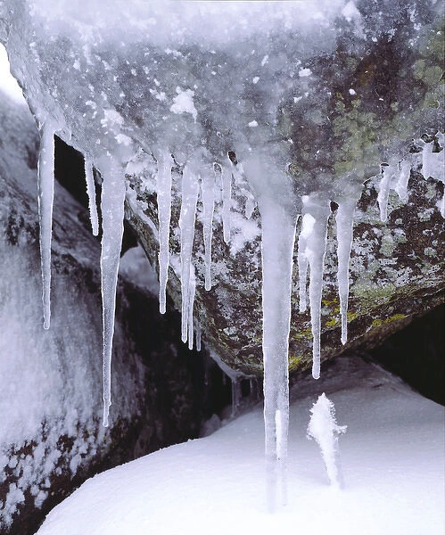 USA, California, Icicles in the Cleveland National Forest