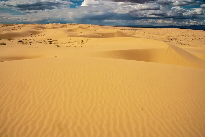 Framed Print : USA, California, Imperial Sand Dunes Recreation Area. Sand dune ripples. ©Cathy & Gordon Illg  /  Jaynes Gallery  /  DanitaDelimont.com