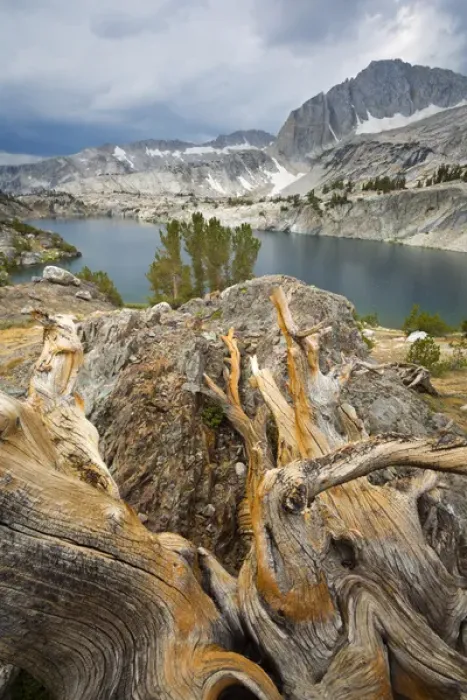 Framed Print : USA, California, Inyo National Forest. Scenic of Steelhead Lake