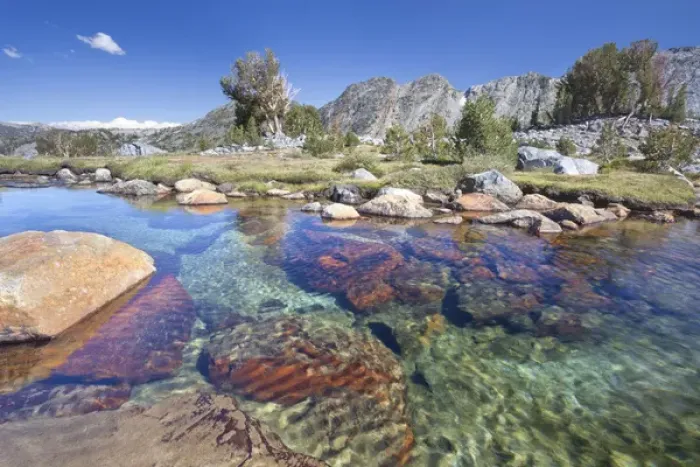 Framed Print : USA, California, Inyo National Forest. Clear stream near Garnet Lake Framed Print : USA, California, Inyo National Forest. Clear stream near Garnet Lake
