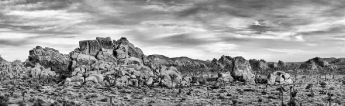 Framed Print : USA, California, Joshua Tree National Park, Panoramic view of desert