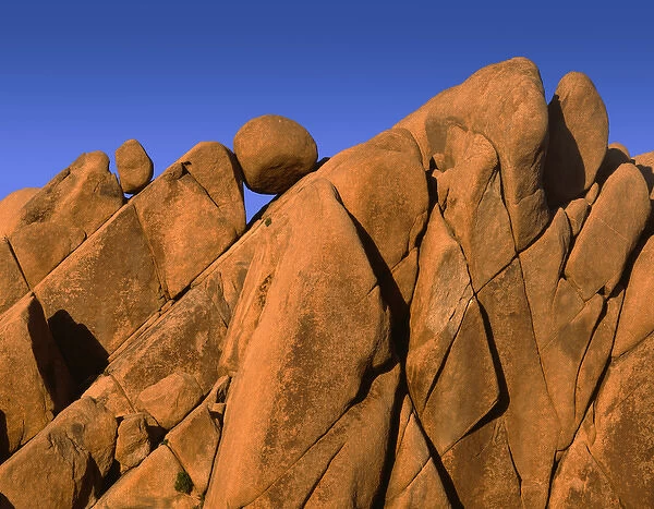 USA, California, Joshua Tree National Park, Distinctive monzonite granite boulders at sunset