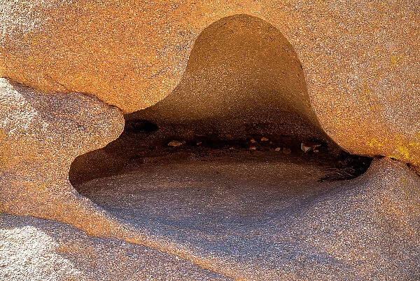 USA, California. Joshua Tree National Park, close-up of rock formation