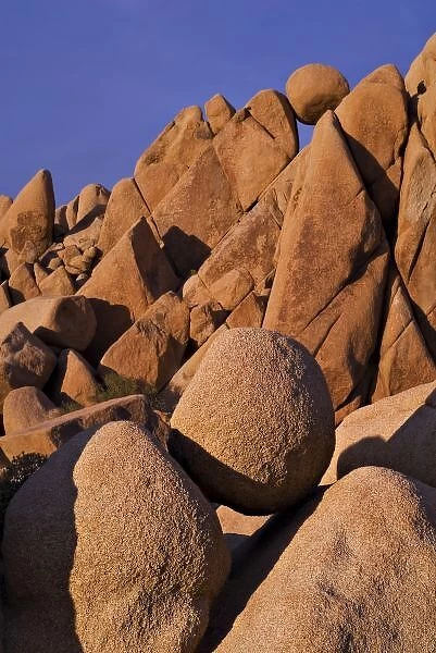 USA, California, Joshua Tree National Park. Sunset on the boulders in Jumbo Rocks