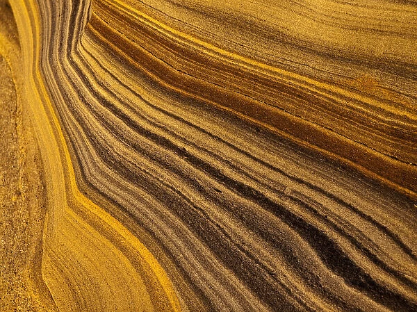 USA, California, La Jolla, Abstract of sandstone rock