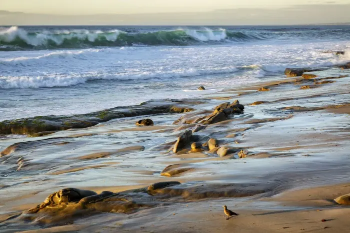 Framed Print : USA, California, La Jolla, Surf breaking off Coast Blvd. Park