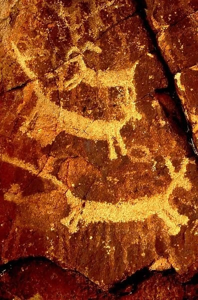 USA, California, Little Petroglyph Canyon, Ridgecrest. Wall of ancient petroglyph rock carvings