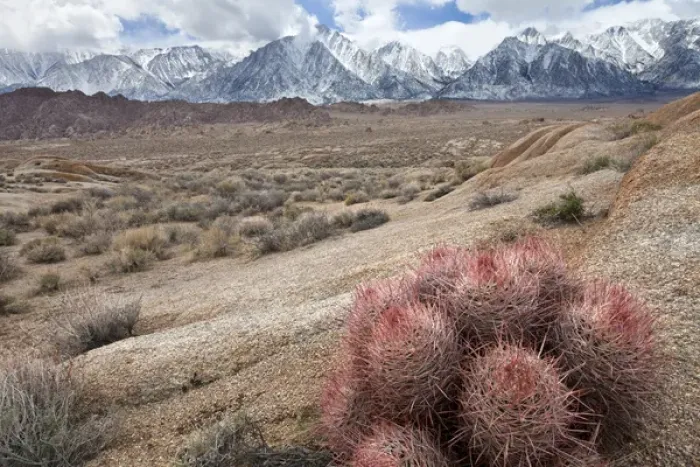 Framed Print : USA, California, Lone Pine. View of the Alabama Hills and the Sierra Mountains. Credit as Framed Print : USA, California, Lone Pine. View of the Alabama Hills and the Sierra Mountains. Credit as