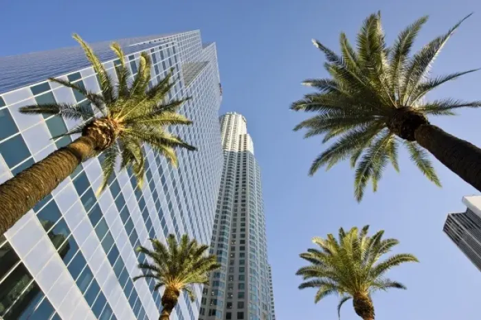 Framed Print : USA, California, Los Angeles. Downtown palms and skyscrapers