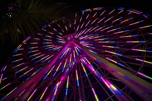 USA, California, Los Angeles, Santa Monica, colorful ferris wheel at night, Pacific Park